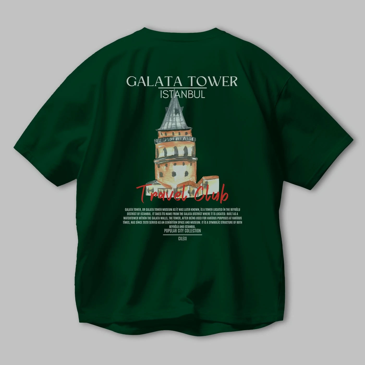 Galata Tower İstanbul Arka Baskılı Oversize t-shirt Erkek Kadın Pamuk Bisiklet Yaka tişort