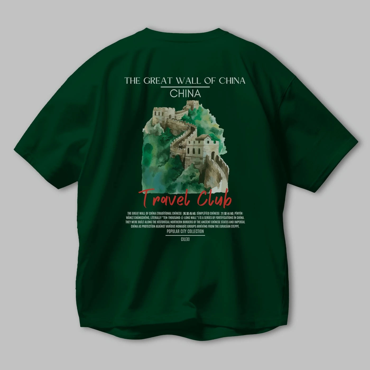The Great Wall Of China Arka Baskılı Oversize t-shirt Erkek Kadın Pamuk Bisiklet Yaka tişort