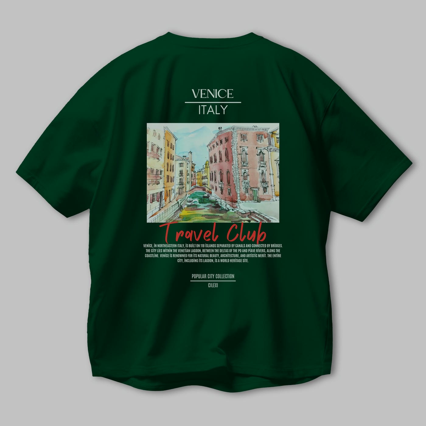 Venice İtaly Arka Baskılı Oversize t-shirt Erkek Kadın Pamuk Bisiklet Yaka tişort
