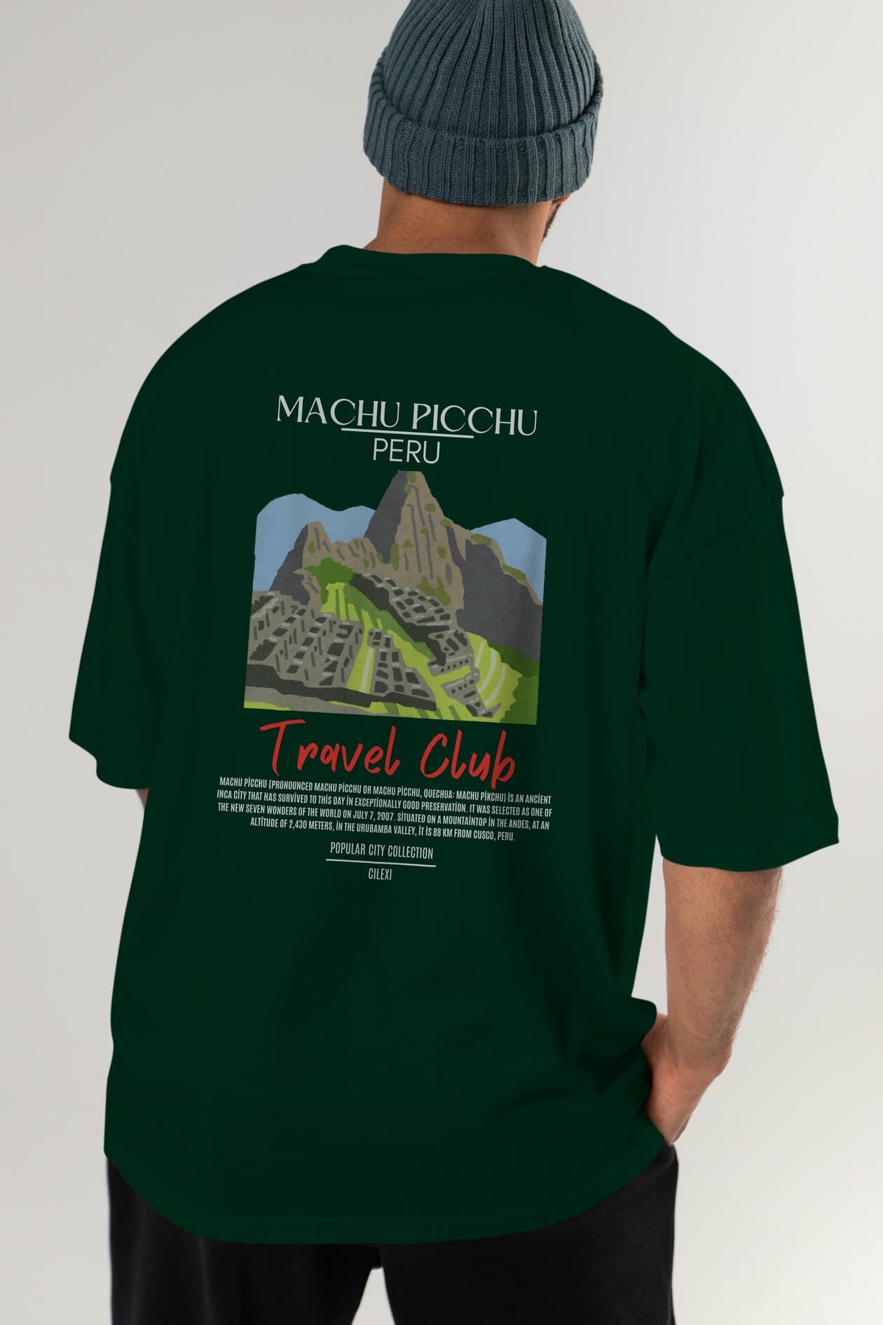Machu Picchu Peru Arka Baskılı Oversize t-shirt Erkek Kadın Pamuk Bisiklet Yaka tişort