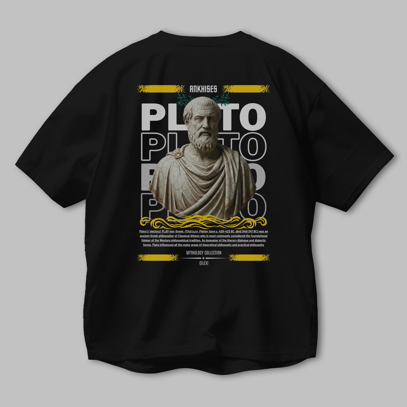 Plato 1 Arka Baskılı Oversize t-shirt Erkek Kadın %100 Pamuk Bisiklet Yaka tişort